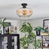 Mertola Lampa sufitowa W kolorze bursztynu, Przezroczysty, 1-punktowy