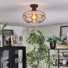 Mertola Lampa sufitowa W kolorze bursztynu, Przezroczysty, 1-punktowy