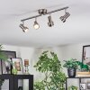 Edain Lampa sufitowa, Spot sufitowy LED Chrom, Nikiel matowy, 4-punktowe