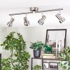 Edain Lampa sufitowa, Spot sufitowy LED Chrom, Nikiel matowy, 4-punktowe