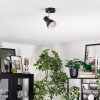 Farel Lampa sufitowa, Spot sufitowy Chrom, Czarny, 1-punktowy