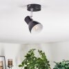 Farel Lampa sufitowa, Spot sufitowy Chrom, Czarny, 1-punktowy