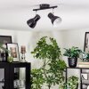 Farel Lampa sufitowa, Spot sufitowy Chrom, Czarny, 2-punktowe