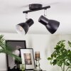 Farel Lampa sufitowa, Spot sufitowy Chrom, Czarny, 2-punktowe
