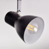 Farel Lampa sufitowa, Spot sufitowy Chrom, Czarny, 2-punktowe