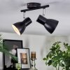Farel Lampa sufitowa, Spot sufitowy Chrom, Czarny, 2-punktowe