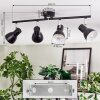 Farel Lampa sufitowa, Spot sufitowy Chrom, Czarny, 4-punktowe