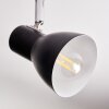 Farel Lampa sufitowa, Spot sufitowy Chrom, Czarny, 4-punktowe