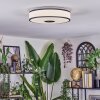 Elran Lampa sufitowa LED Biały, 1-punktowy