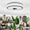 Elran Lampa sufitowa LED Biały, 1-punktowy