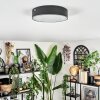 Elmar Lampa sufitowa LED Czarny, 1-punktowy