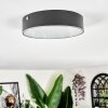 Elmar Lampa sufitowa LED Czarny, 1-punktowy
