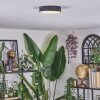 Elmar Lampa sufitowa LED Czarny, 1-punktowy
