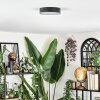 Elmar Lampa sufitowa LED Czarny, 1-punktowy
