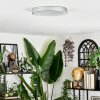 Elmar Lampa sufitowa LED Srebrny, 1-punktowy