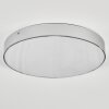 Elmar Lampa sufitowa LED Srebrny, 1-punktowy