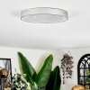 Elmar Lampa sufitowa LED Srebrny, 1-punktowy