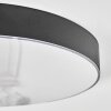 Elmar Lampa sufitowa LED Czarny, 1-punktowy