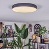 Elmar Lampa sufitowa LED Czarny, 1-punktowy