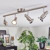 Firan Lampa sufitowa, Spot sufitowy LED Chrom, Nikiel matowy, 4-punktowe