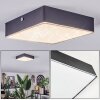 Esmar Lampa sufitowa LED Czarny, 1-punktowy