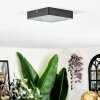 Esmar Lampa sufitowa LED Czarny, 1-punktowy