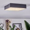 Esmar Lampa sufitowa LED Czarny, 1-punktowy