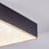 Esmar Lampa sufitowa LED Czarny, 1-punktowy