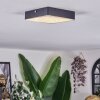 Esmar Lampa sufitowa LED Czarny, 1-punktowy