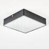 Esmar Lampa sufitowa LED Czarny, 1-punktowy