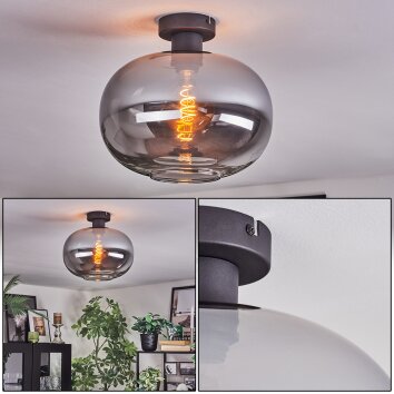 Apedo lampa sufitowa przydymiony, 1-punktowy