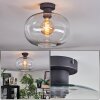 Apedo Lampa sufitowa Przezroczysty, 1-punktowy