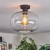 Apedo Lampa sufitowa Przezroczysty, 1-punktowy