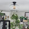 Apedo Lampa sufitowa Przezroczysty, 1-punktowy