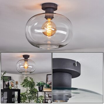 Apedo lampa sufitowa przezroczysty, 1-punktowy