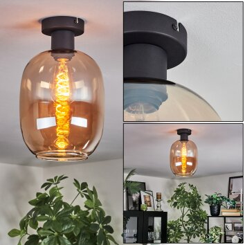 Apedo lampa sufitowa bursztynowy, 1-punktowy