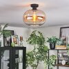 Apedo lampa sufitowa bursztynowy, przezroczysty, 1-punktowy