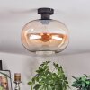 Apedo lampa sufitowa bursztynowy, przezroczysty, 1-punktowy