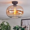 Apedo Lampa sufitowa W kolorze bursztynu, Przezroczysty, 1-punktowy