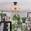 Apedo Lampa sufitowa W kolorze bursztynu, Przezroczysty, 1-punktowy