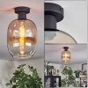 Apedo lampa sufitowa bursztynowy, przezroczysty, 1-punktowy