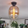 Apedo lampa sufitowa bursztynowy, przezroczysty, 1-punktowy