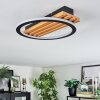 Pompu Lampa sufitowa LED Ecru, Czarny, 1-punktowy