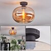 Apedo Lampa sufitowa W kolorze bursztynu, 1-punktowy