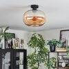 Apedo Lampa sufitowa W kolorze bursztynu, 1-punktowy