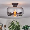 Boza Lampa sufitowa Chrom, Przydymiony, 1-punktowy