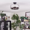 Boza Lampa sufitowa Chrom, Przydymiony, 1-punktowy