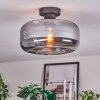 Boza Lampa sufitowa Przydymiony, 1-punktowy