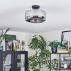 Boza Lampa sufitowa Przydymiony, 1-punktowy