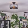 Boza Lampa sufitowa Przydymiony, 1-punktowy